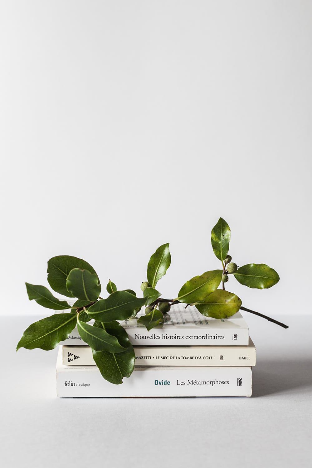 3 books on a white desk with a branch and leaves