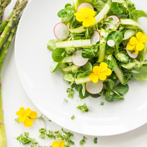 Top view of white plate with spring salad