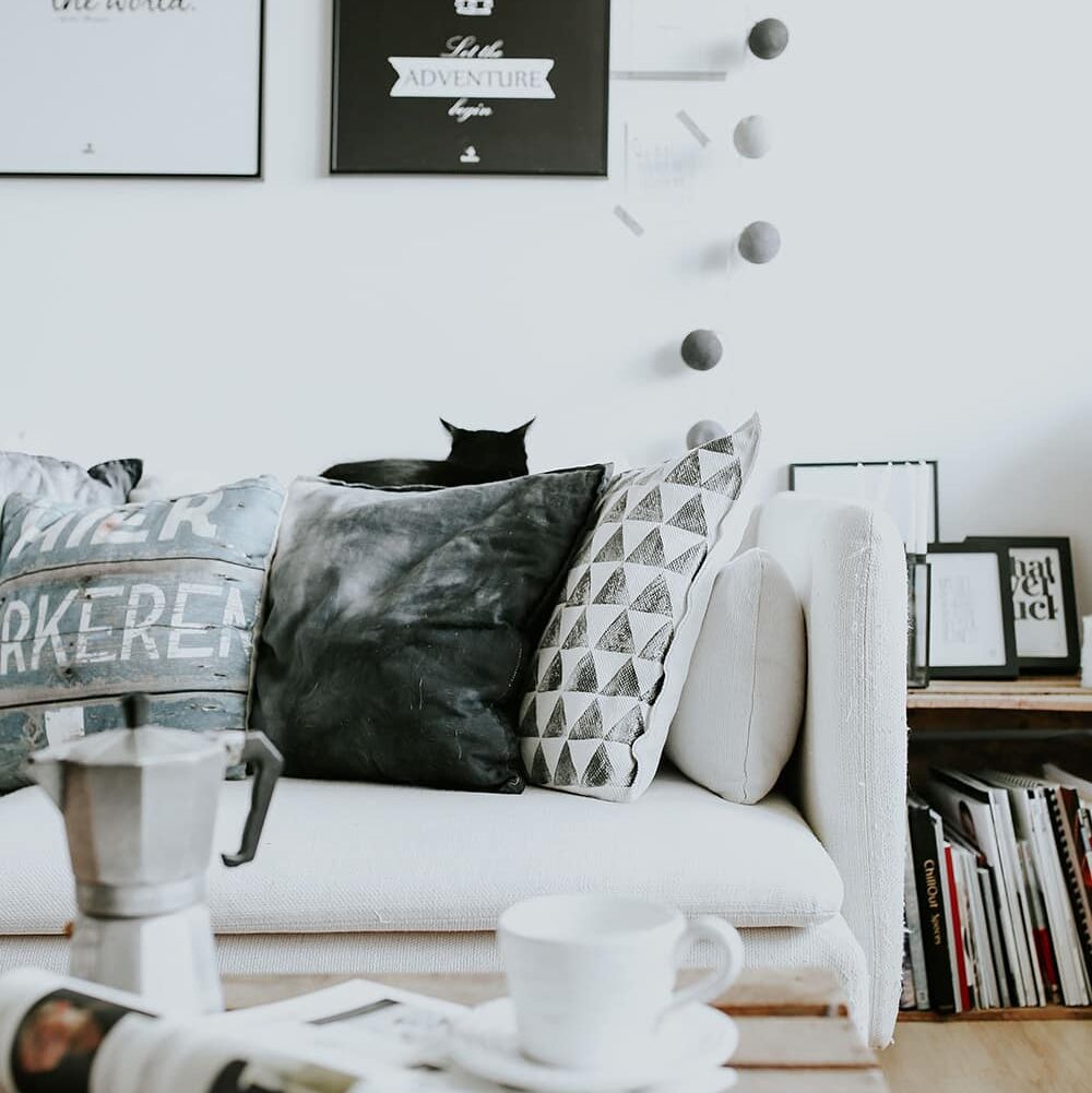 Un hermoso gato negro en un sofá blanco