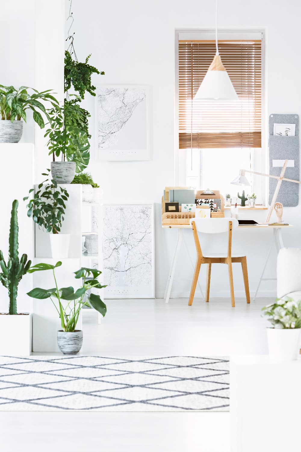 View of a desk in a modern apartment, surrounded by plants. The perfect area to work from home!