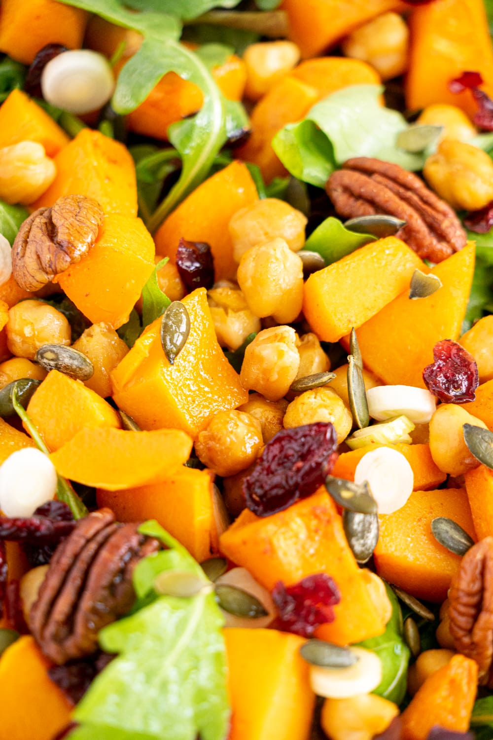 Close up of roasted butternut squash salad with arugula, pecans and dried cranberries