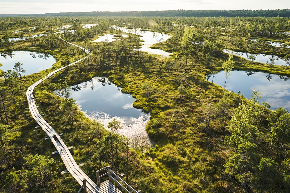 Aerial view of wooden bridge and green plants around in Riga, Latvia: cheapest countries to visit