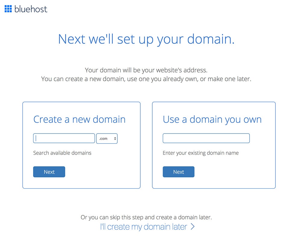 How to start a blog with Bluehost: chose your domain name