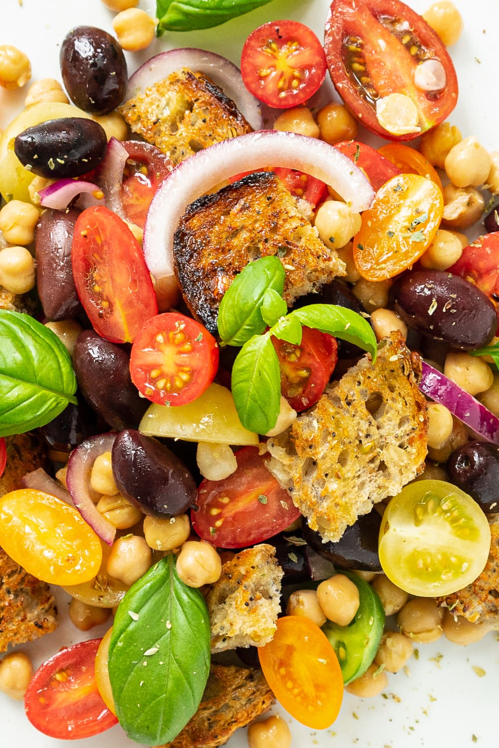 Close up of a delicious Panzanella made with tomatoes, onions, basil, stale bread and chickpeas