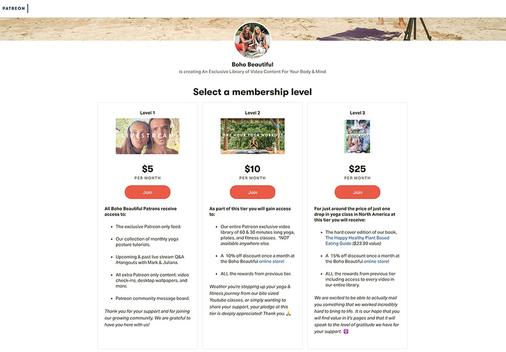 Example of donations using Patreon