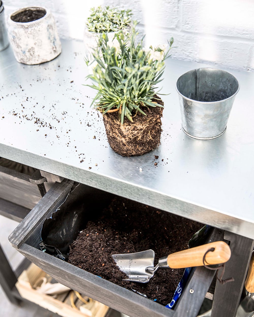 Plant being potted in a metal vase