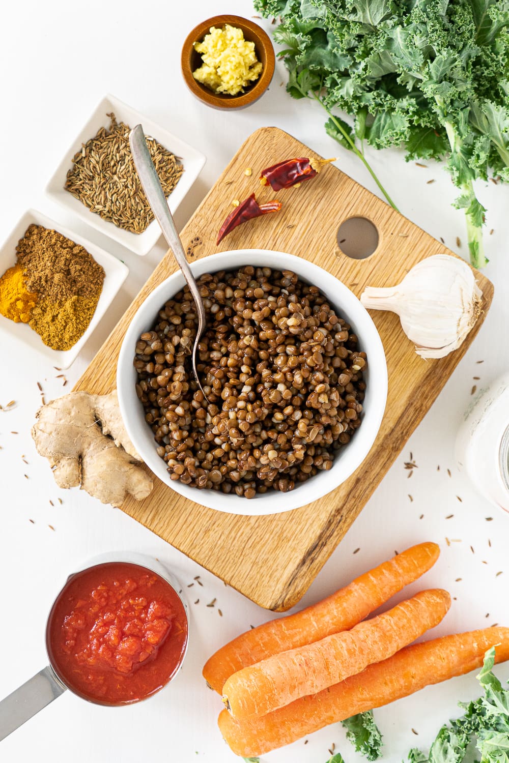 Top view of ingredients needed to prepare a coconut lentil curry: lentils, coconut milk, crushed tomatoes, kale leaves, grated ginger, carrots and spices