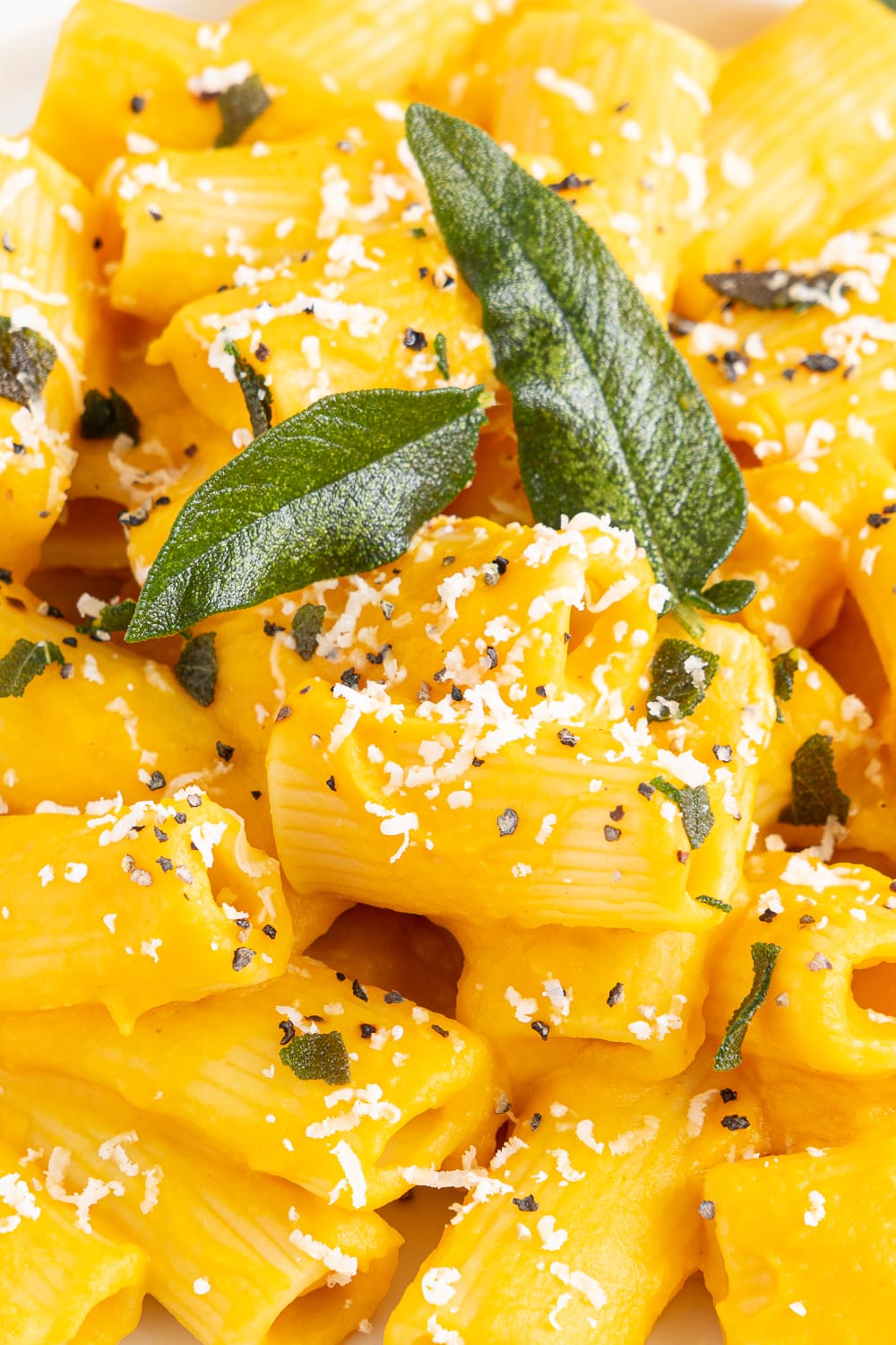 Close up of creamy butternut squash pasta topped with sage leaves