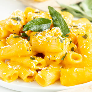 3/4 view of white plate filled with creamy butternut squash pasta topped with sage leaves