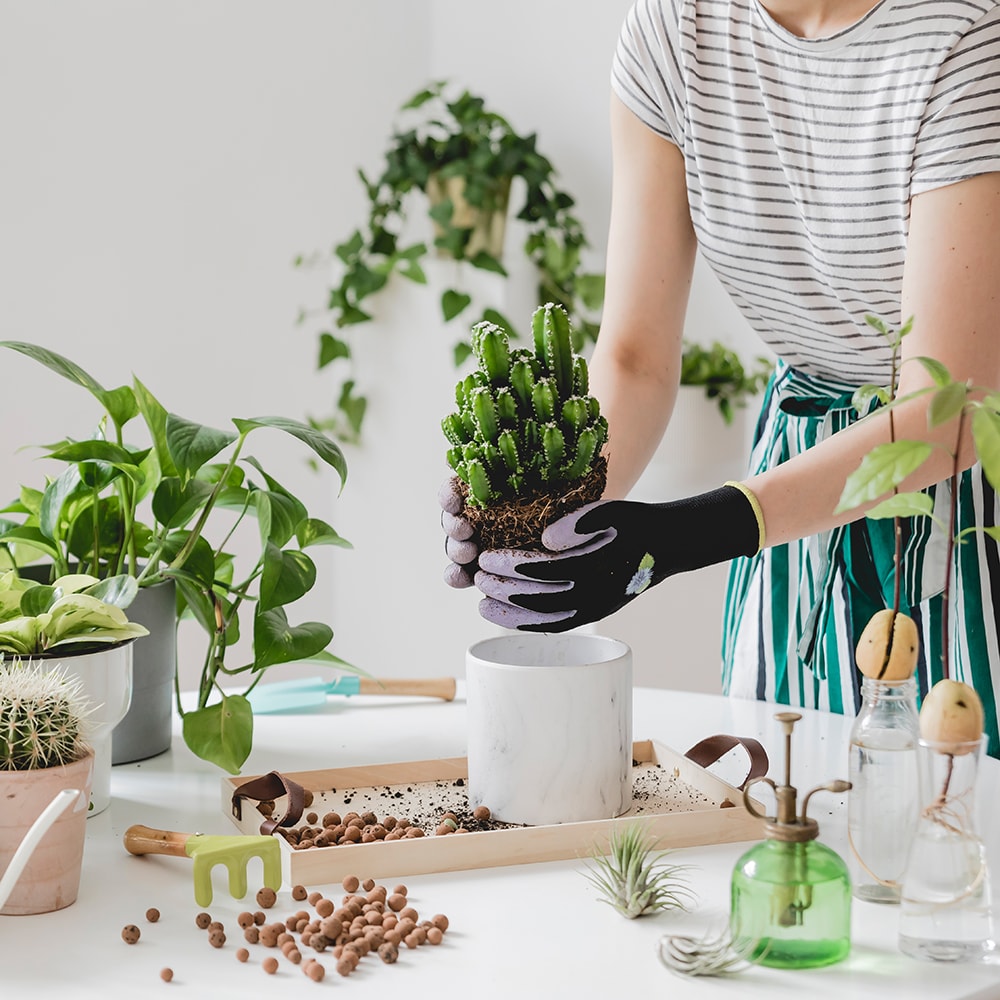 Woman repotting a plant: gardening is one of the many hobbies that make money