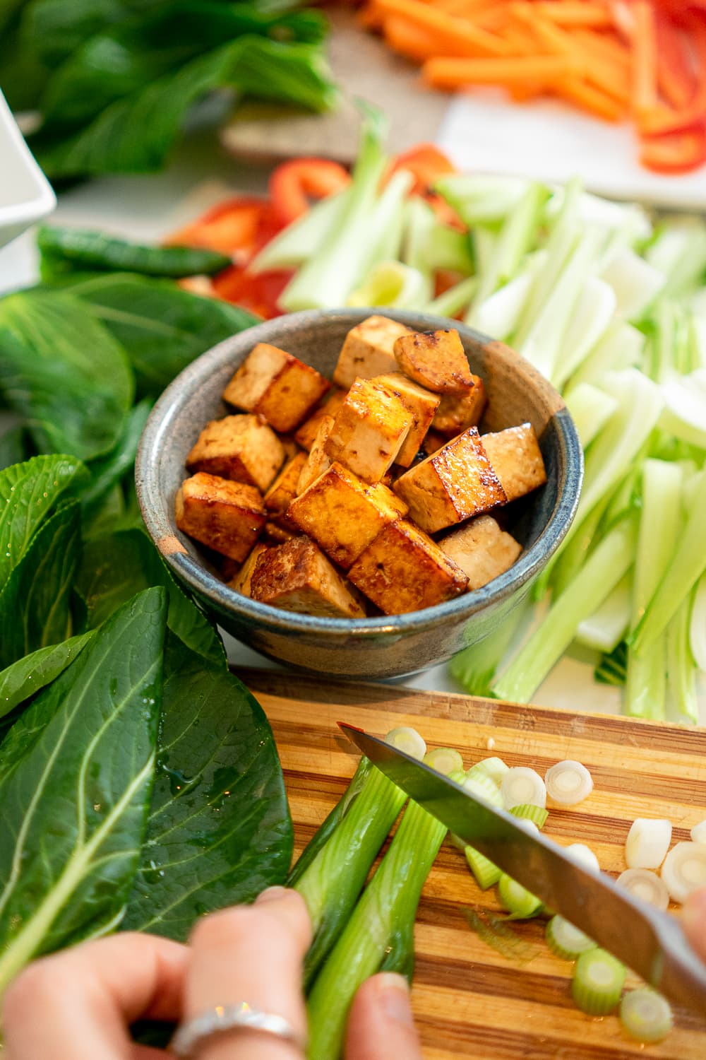 Crispy tofu surrounded by greens and green onions