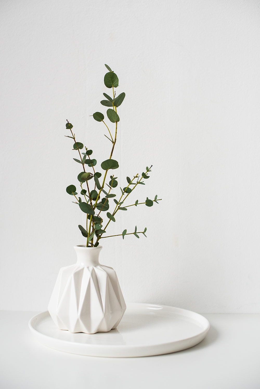 A beautiful image of a white vase 