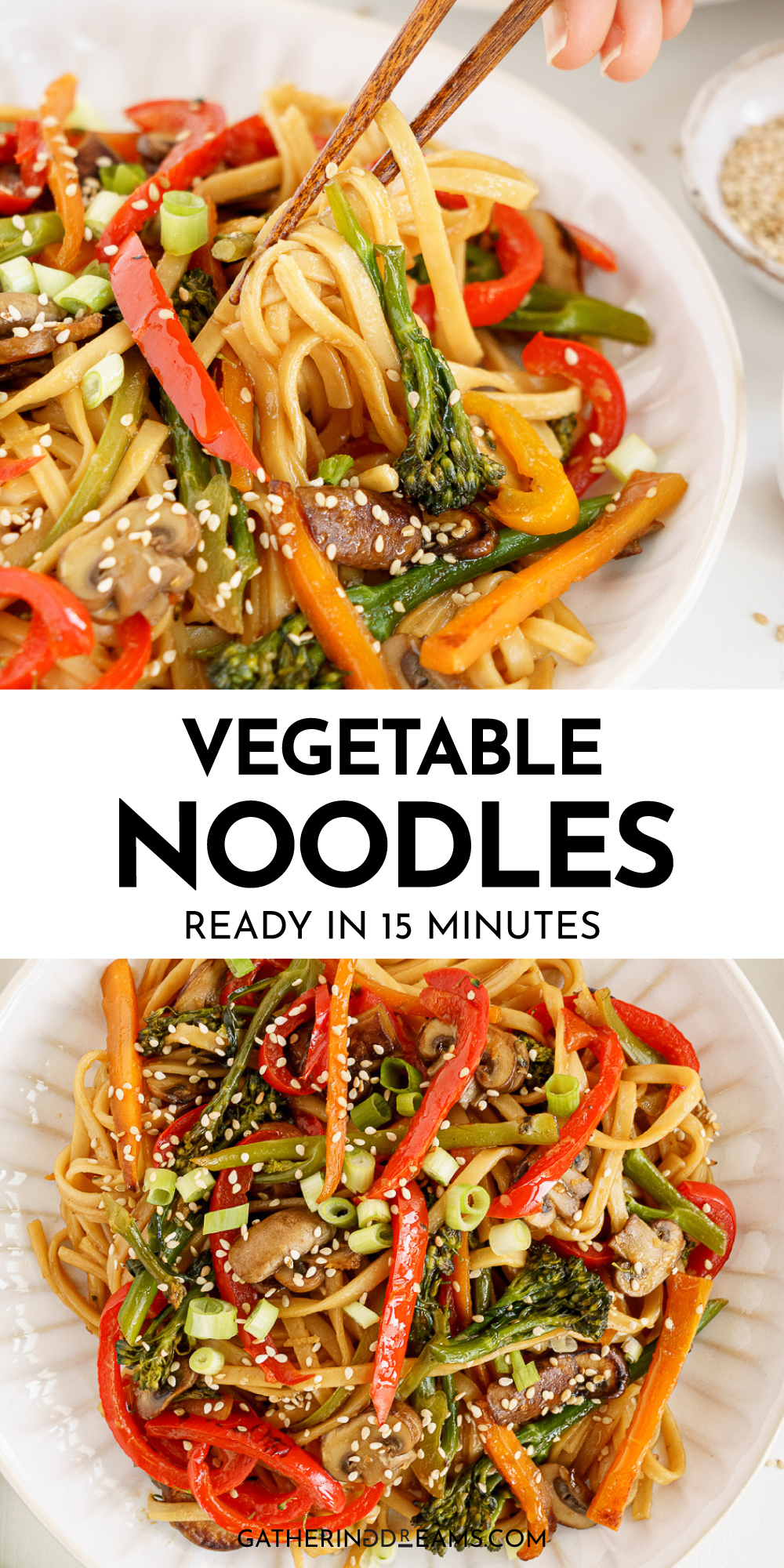 15-Minute Vegetable Stir Fry Noodles - Gathering Dreams