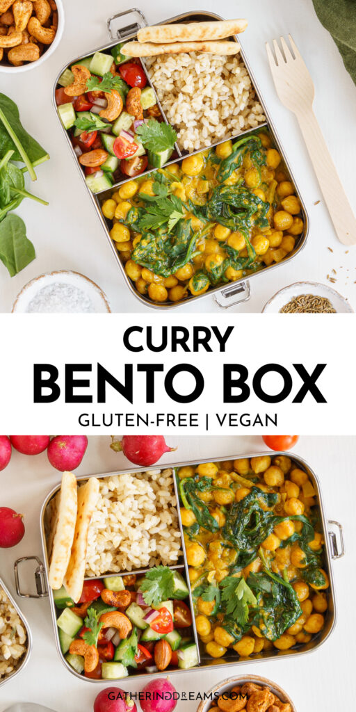 curry bento box pin