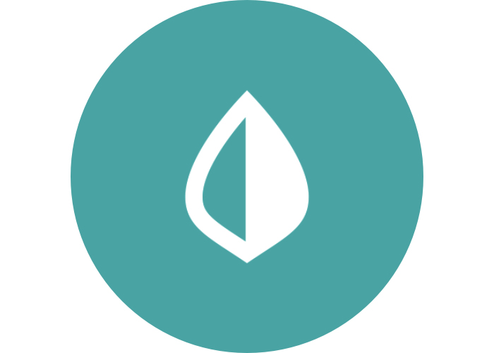 mint logo