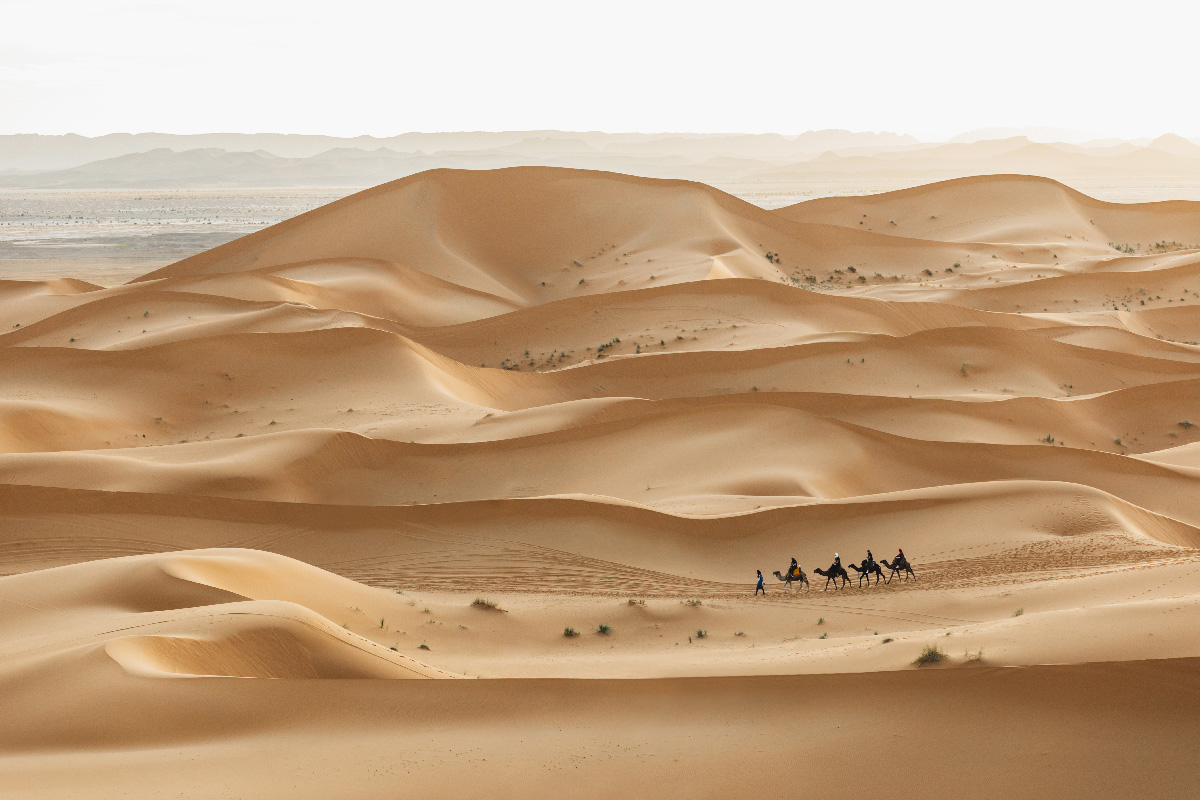 Sandy dunes in Oman