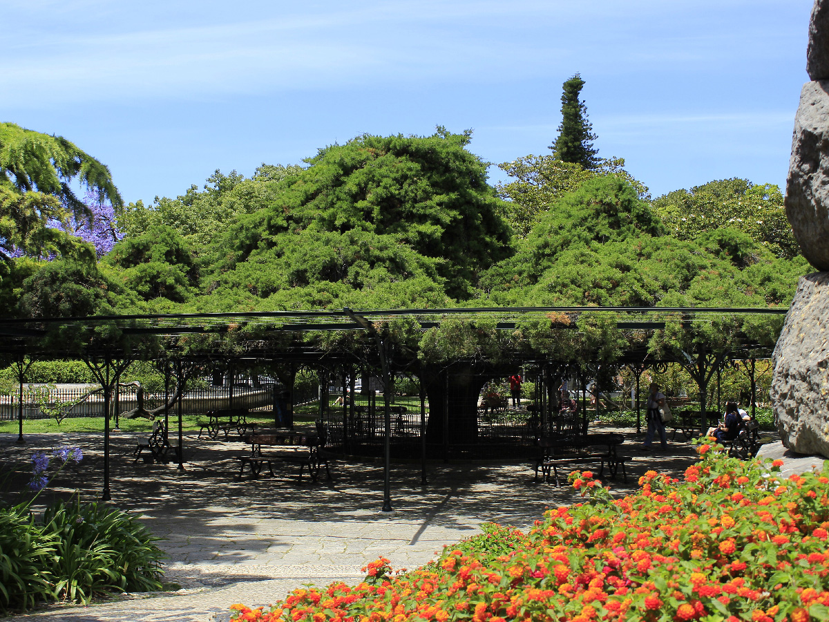 Jardim do Principe Real