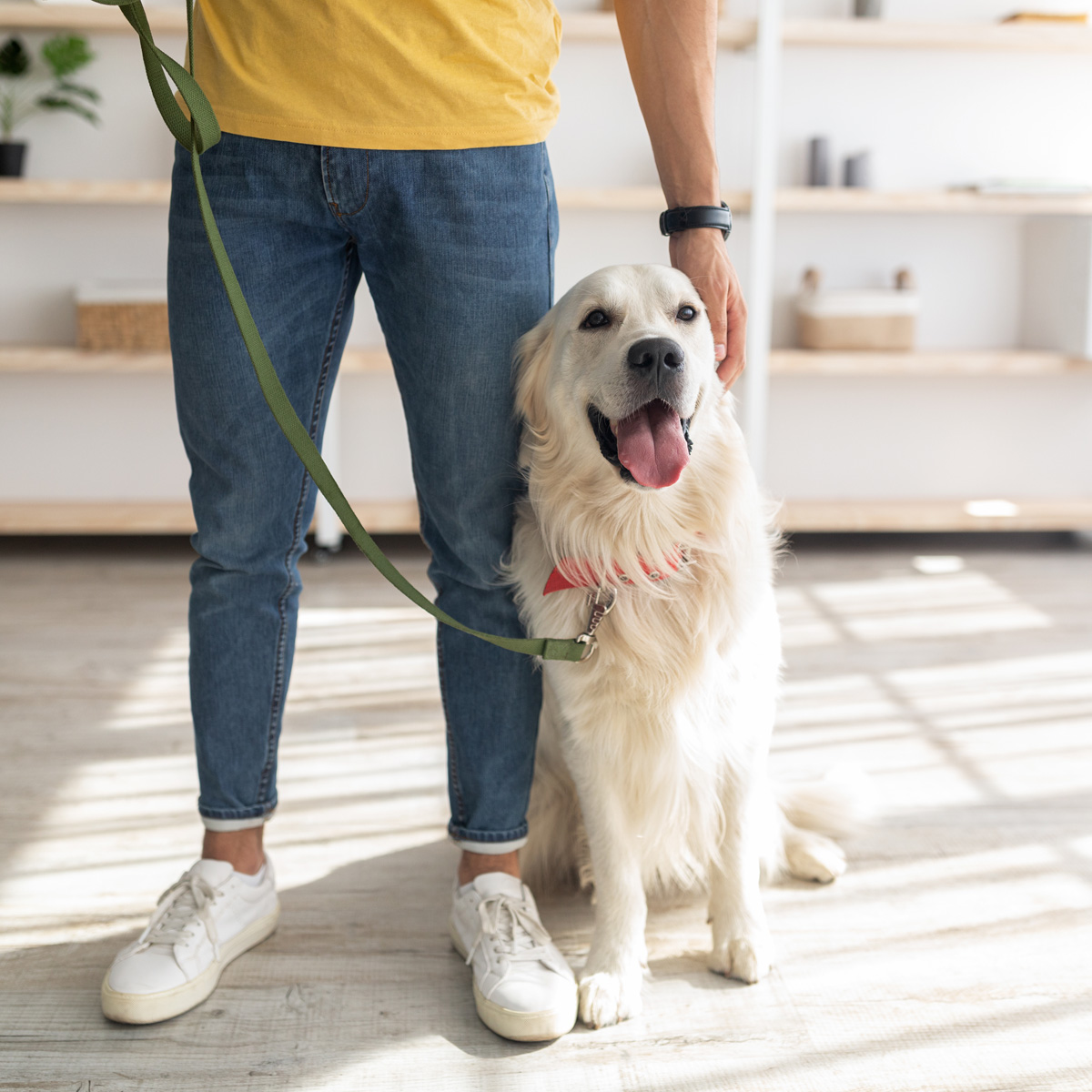 11 Best Dog Walking Apps: Get Paid To Walk Dogs