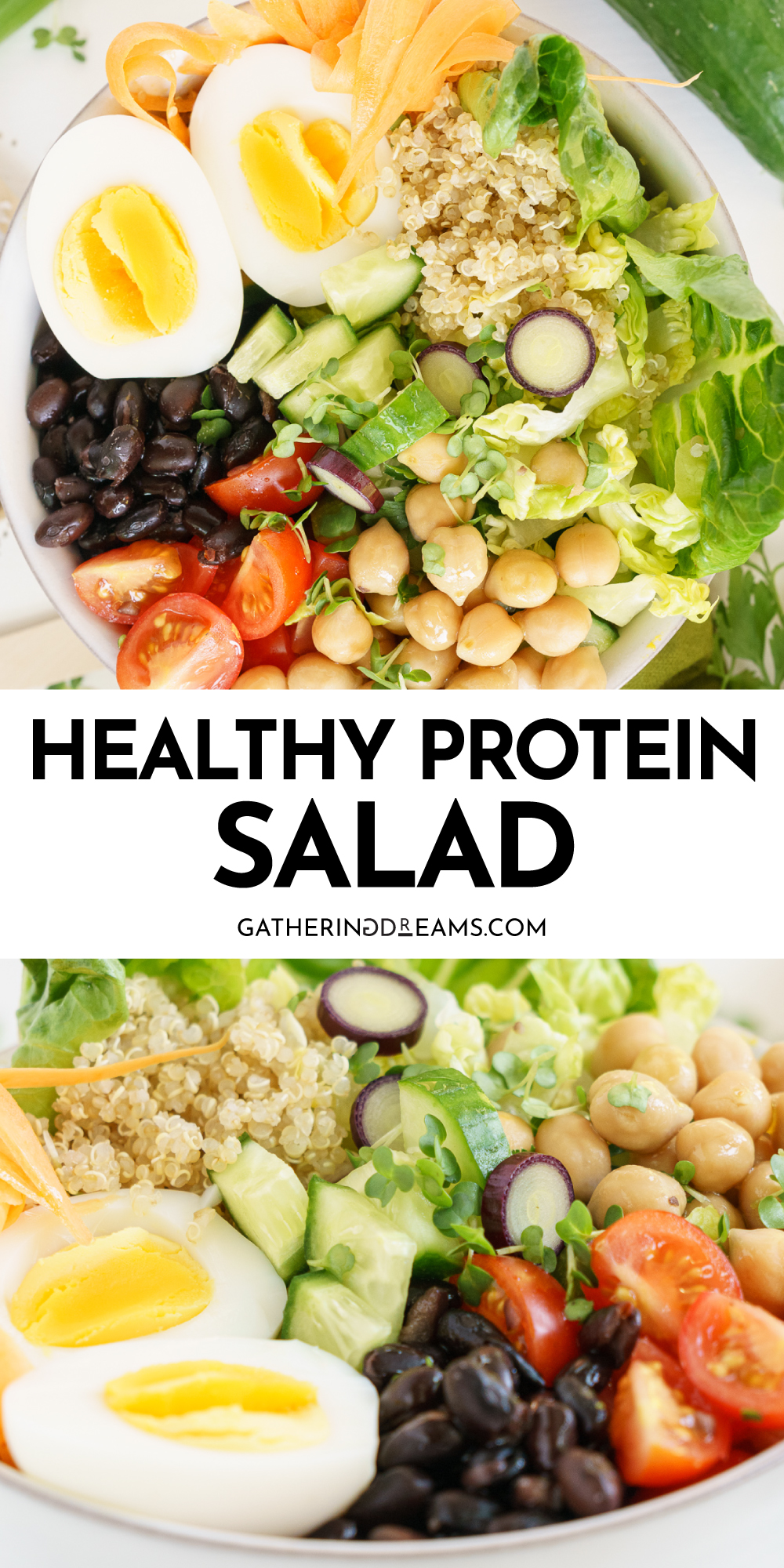 Protein Salad (Meal Prep) - Gathering Dreams