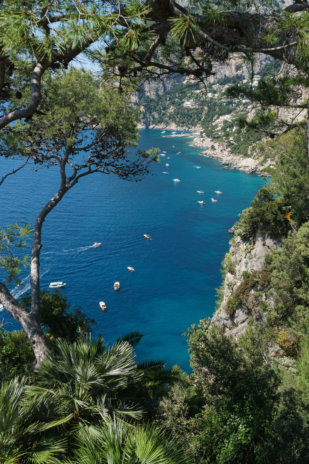 An incredible view of Capri coastline