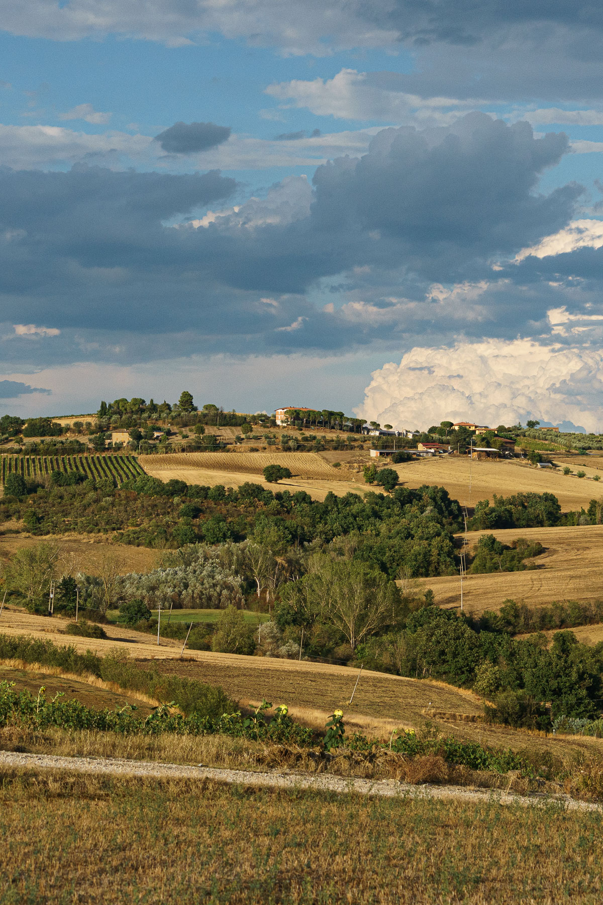Umbrian Countryside 