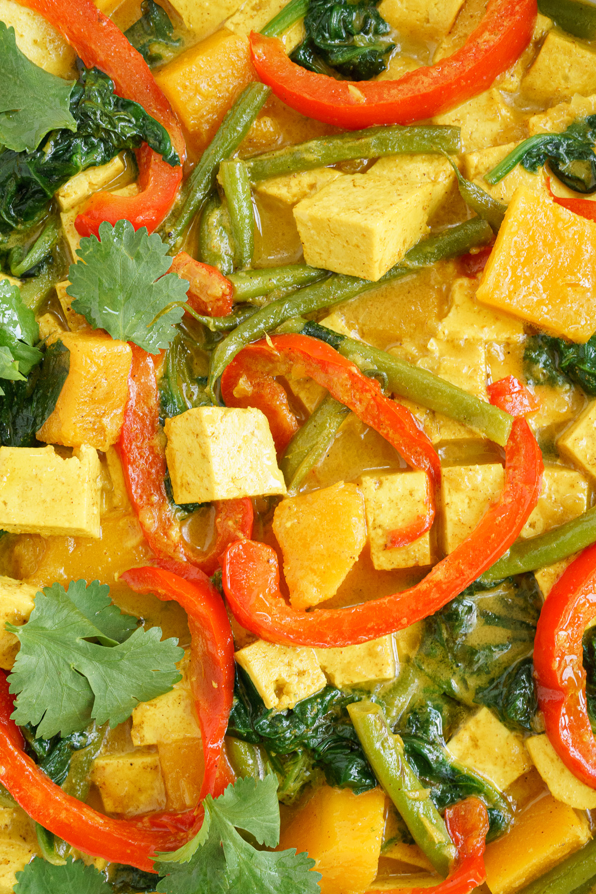 Easy Tofu Coconut Curry - Gathering Dreams