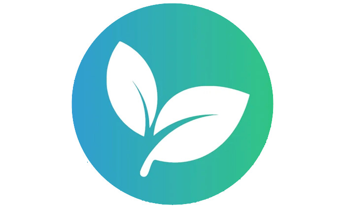 earth miles logo
