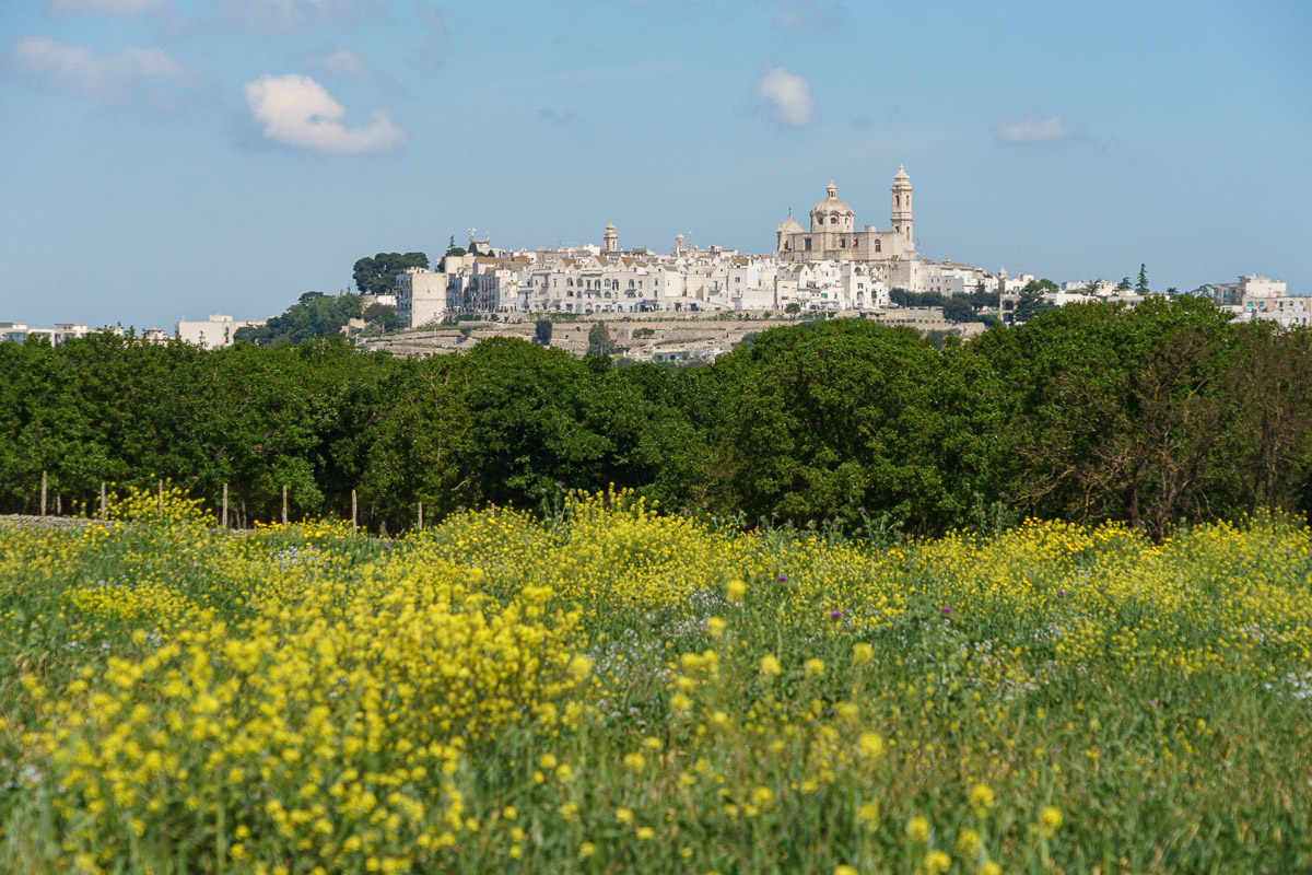 A view of Locorotondo from the countryside