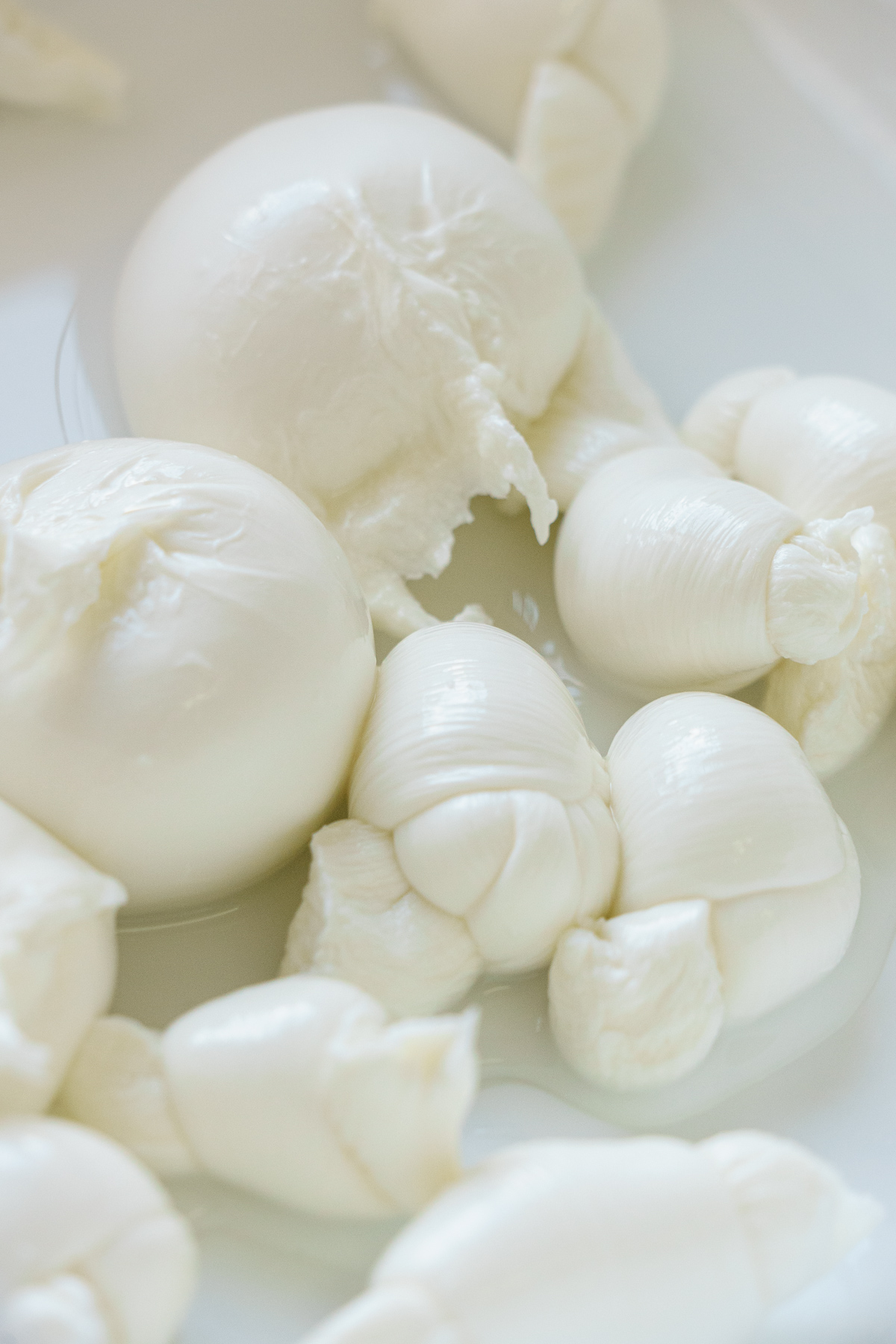 Fresh handmade mozzarella