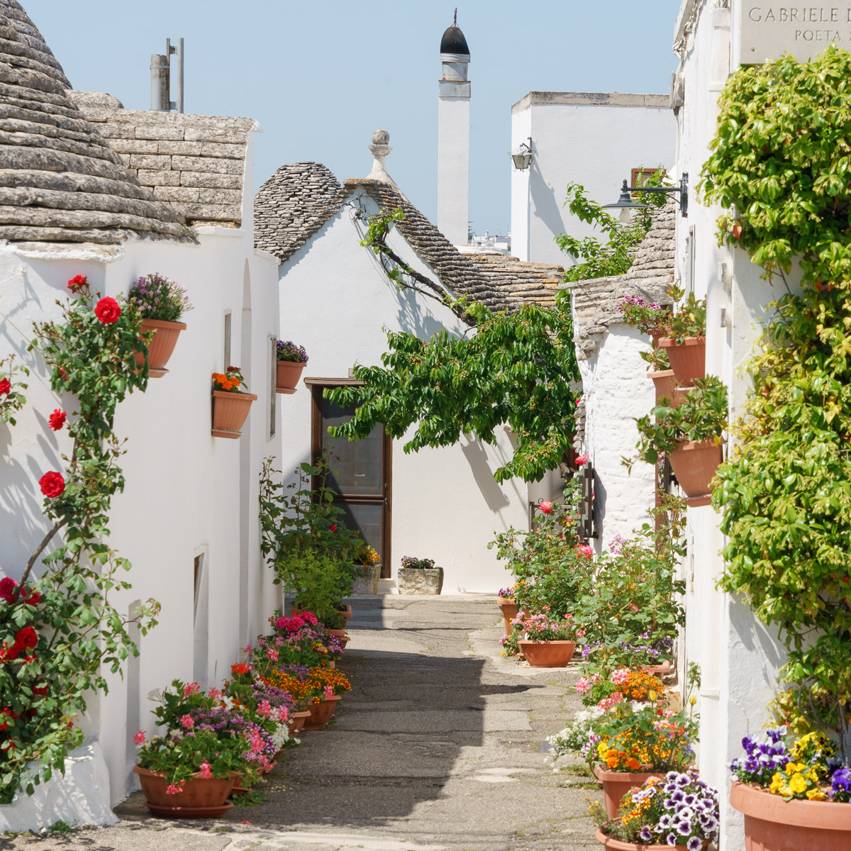 Alberobello in Puglia during spring