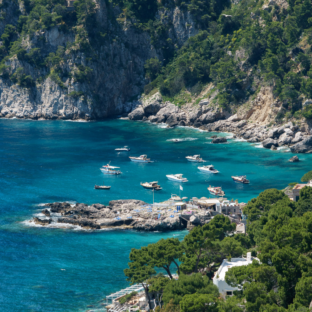 The beautiful coast of Capri in the summer