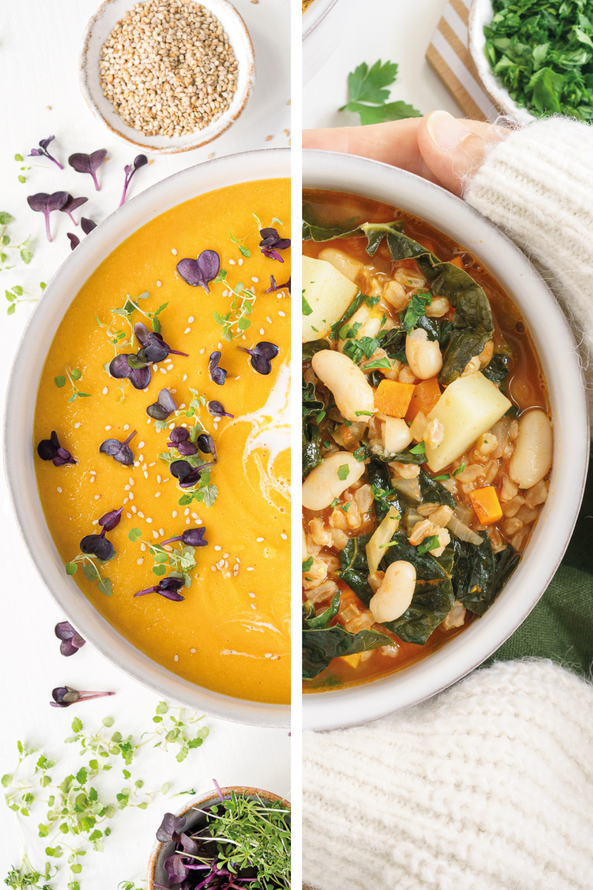 Collage of fall soup recipes 