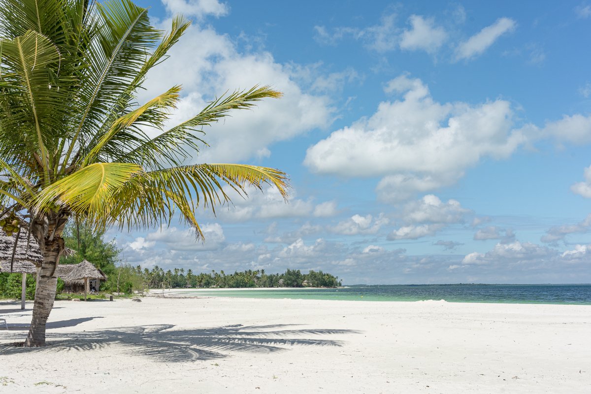 A white beach in Zanzibar, Tanzania