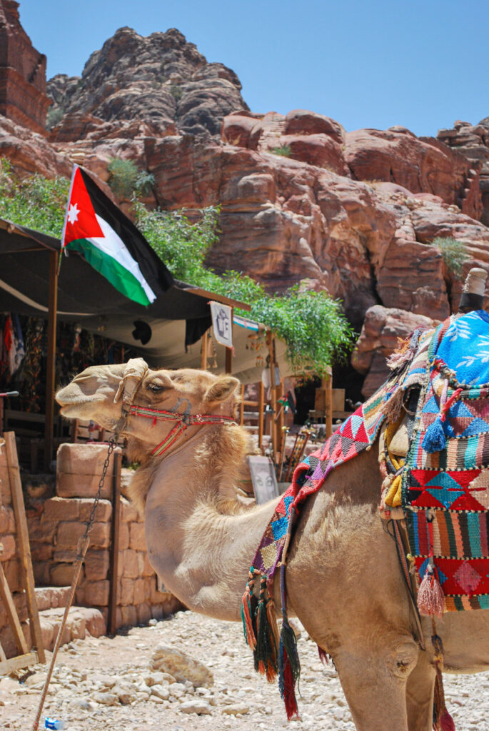 Camel in Petra with Jordan flag flapping in the background