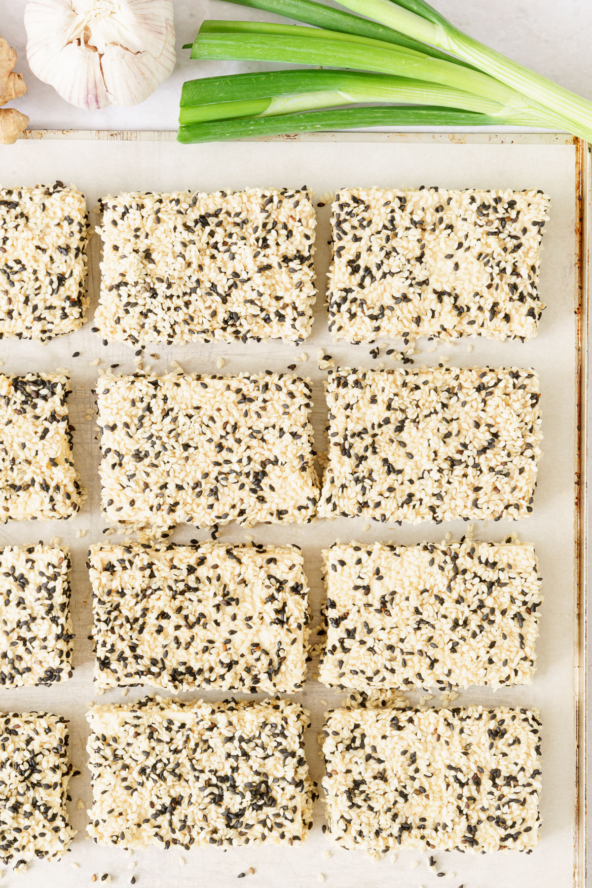 Sesame Crusted Tofu - Gathering Dreams