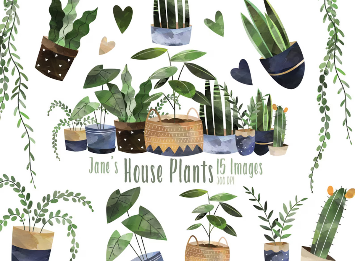 Watercolor illustration of plants from Digital Artsi
