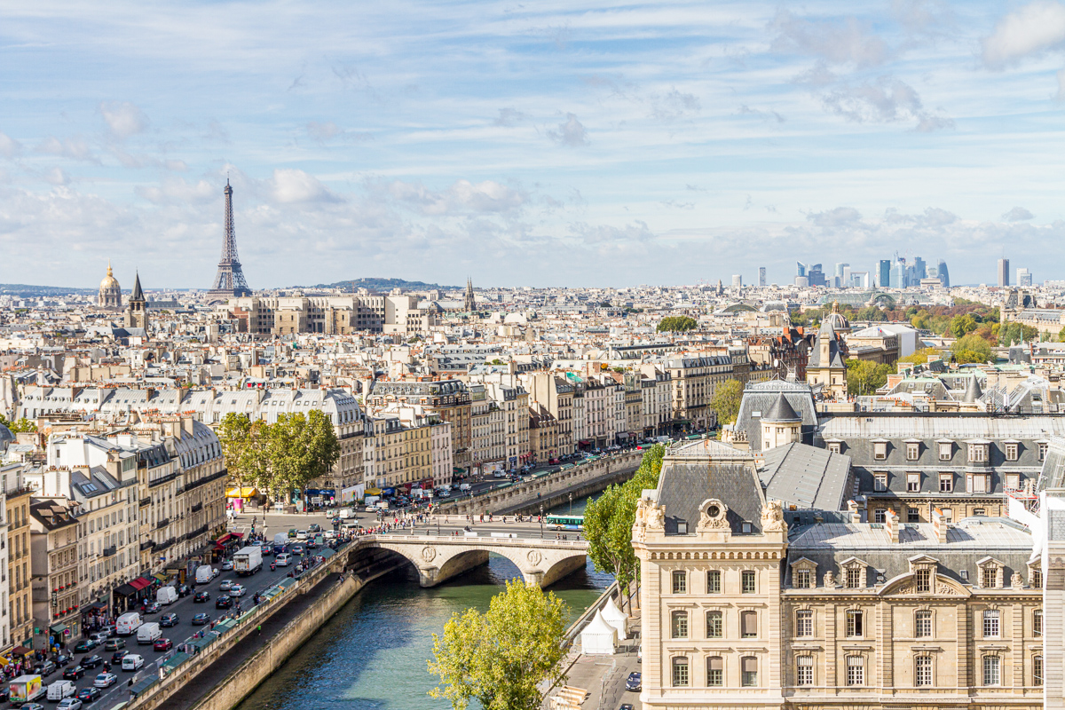 Paris seen from the top of Notre Dame