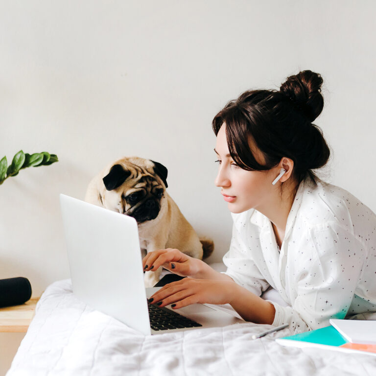 Woman on her bed typing on her laptop with her pug next to her