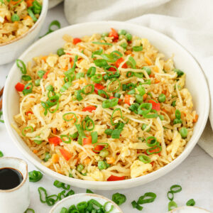 cropped image of a bowl full of delicious and colorful fried rice
