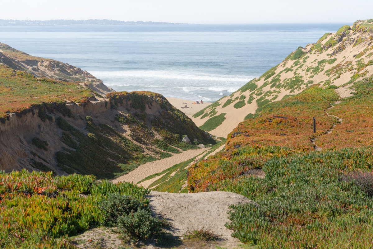 A view of the san dune in Marina state beach