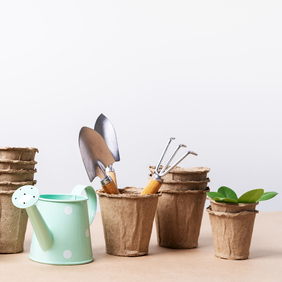 image of gardening supplies and tools