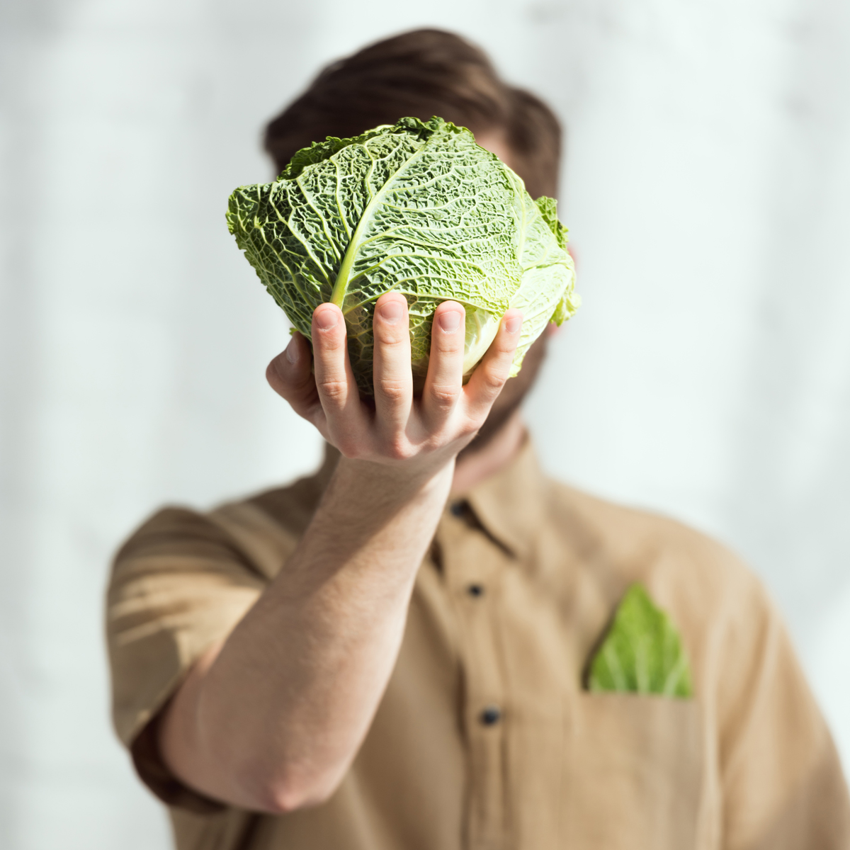 image of a person holding a cabbage