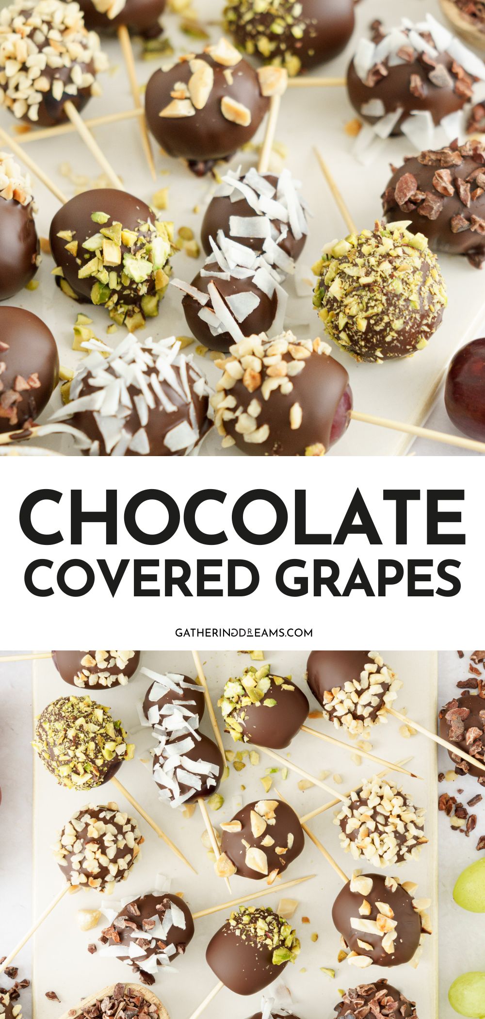 Chocolate Covered Grapes - Gathering Dreams