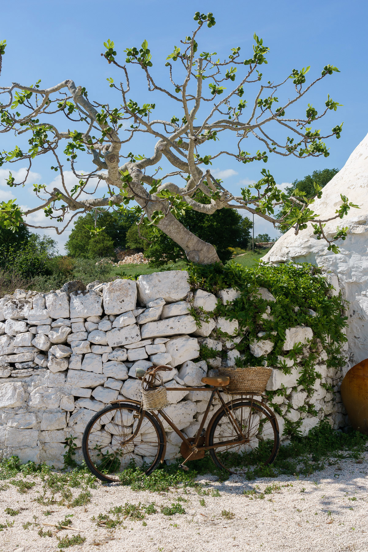 A typical masseria in Puglia
