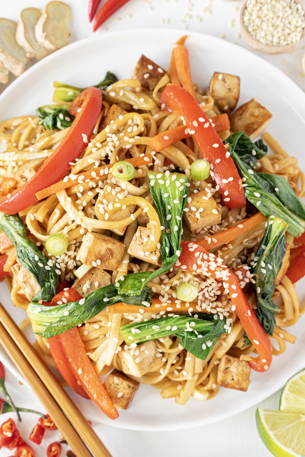 Vegan stir fry noodle on a plate.