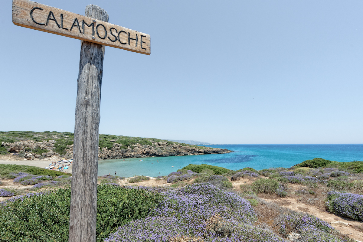 A view of Calamosche beach with a wooden sign in frame saying "Calamosche".